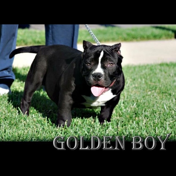 Meet your Posher, Jason - Picture 1 of 1